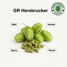 Hersbrucker Hop Pellets 2025 – German Floral & Herbal Aroma Hops