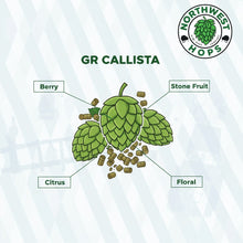 Callista Hop Pellets 2025 – German Berry & Stone Fruit Aroma Hops