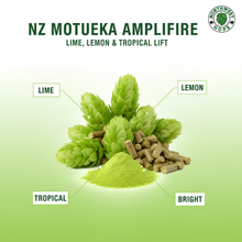 Motueka Amplifire Hop Pellets 2024 NZ – Lime & Tropical Aroma Hops