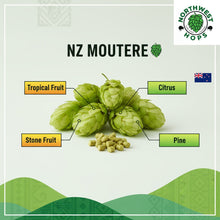 Moutere Hop Pellets 2025 – New Zealand Grapefruit & Tropical Aroma Hops