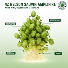 Nelson Sauvin Amplifire Hop Pellets 2024 NZ – White Grape & Gooseberry Aroma Hops