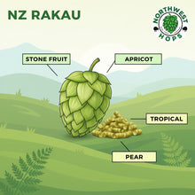 Rakau T90 Pellets 2023 – New Zealand Stonefruit, Apricot & Pine Aroma Hops