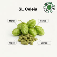 Celeia Hop Pellets 2025 – Slovenian Floral & Herbal Aroma Hops