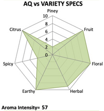 Wakatu T90 Hop Pellets 2023 – New Zealand Citrus & Tropical Aroma Hops