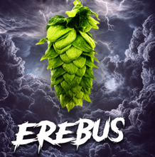 Erebus Hop Pellets 2025 – US Citrus & Stone Fruit Aroma Hops