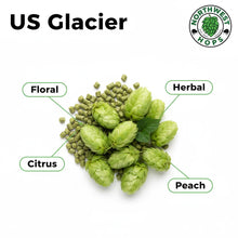 Glacier T90 Hop Pellets 2025 – US Floral & Herbal Aroma Hops